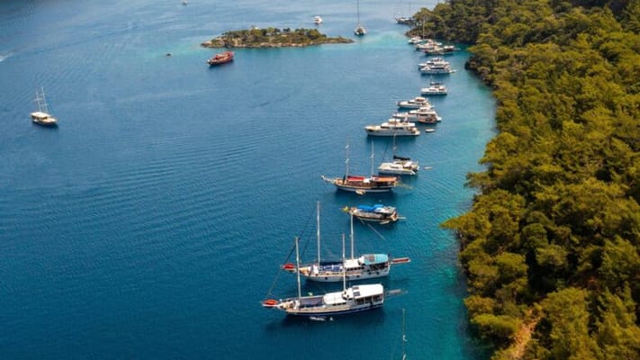 Brentwood by the Bay Assisted Living