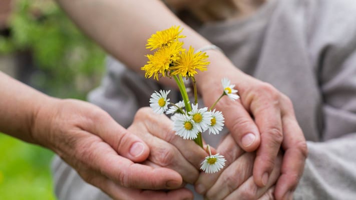 Two hands holding flowers in a garden setting