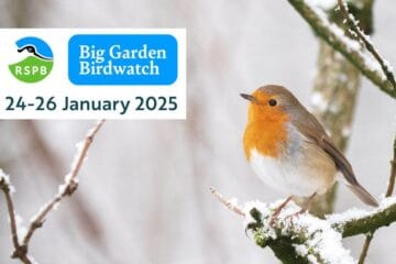 Avocet Court Care Home