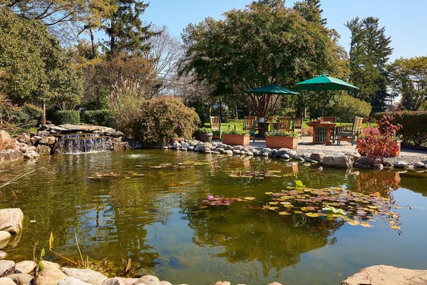 Serene outdoor space with pond and seating