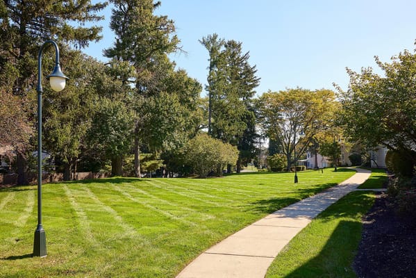 Well-maintained grass path lined with trees and lampposts