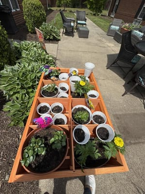 Garden area with potted plants and flowers