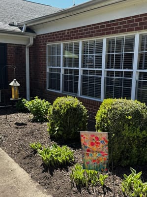 Garden area with flowers and bushes outside a facility