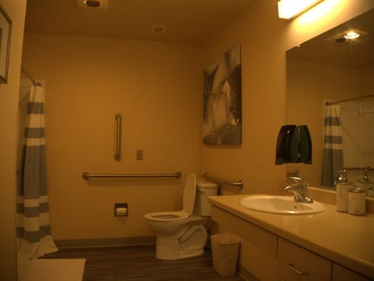 Well-equipped bathroom with safety features