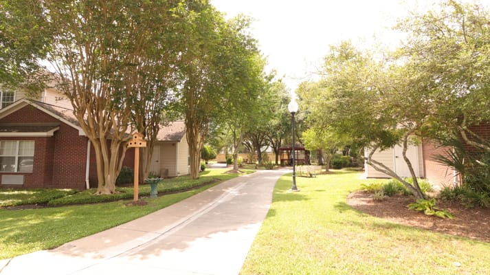Pathway through landscaped outdoor space with trees