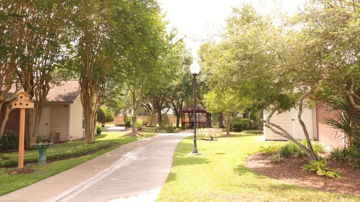 Pathway through a green outdoor area with trees and gazebo
