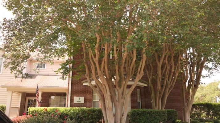 Exterior view of a building surrounded by trees
