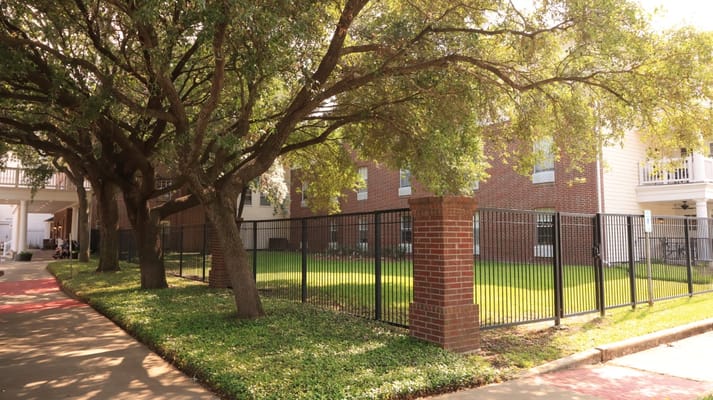 Outdoor area with trees and fenced lawn