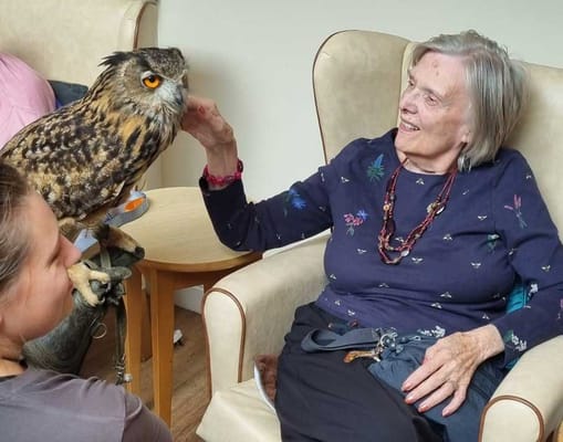 Resident of Rykneld View Nursing Home petting an owl