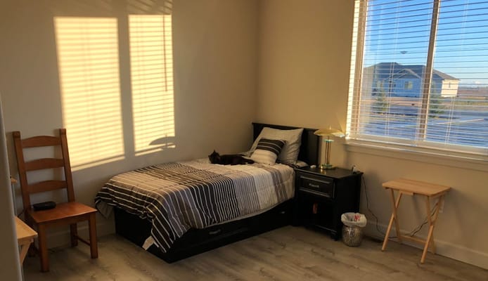 Cozy private bedroom with natural light
