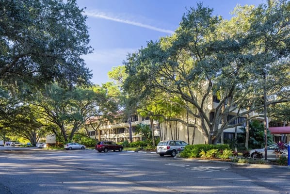 Exterior view of the American House Sarasota with landscaping