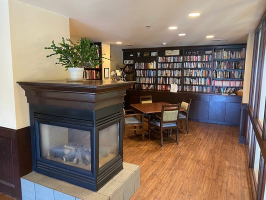 Cozy reading area with a fireplace and bookshelves