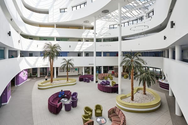 Spacious interior common area with seating and palm trees