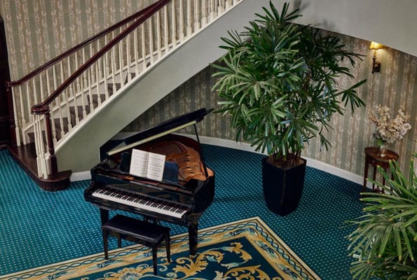 Elegant interior with a grand piano and decorative plants