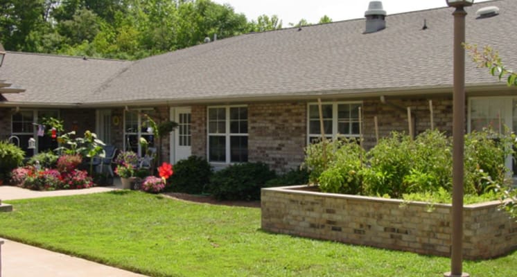 Outdoor garden area with plants and flowers