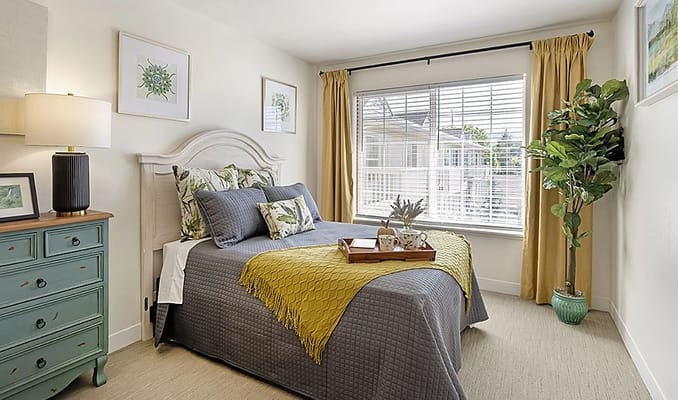 1 Bed