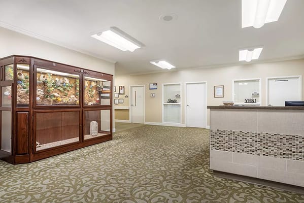 Interior view of a welcoming reception area