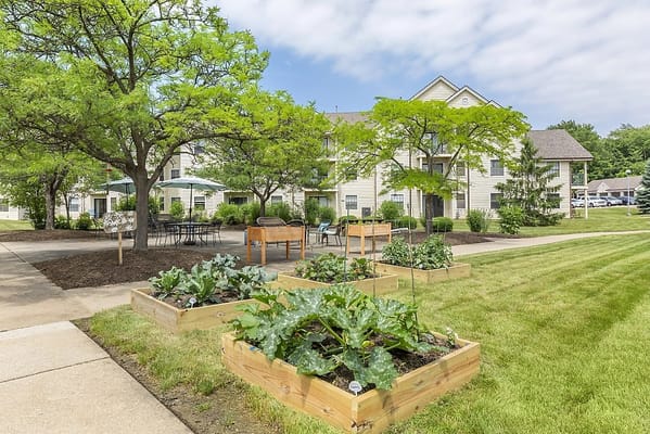 Outdoor garden area with raised plant beds and seating