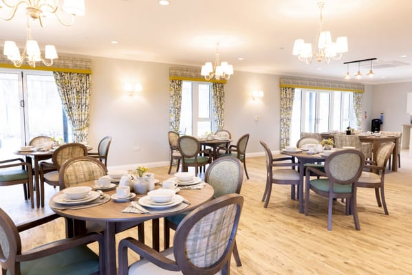 Elegant dining room setup with tableware