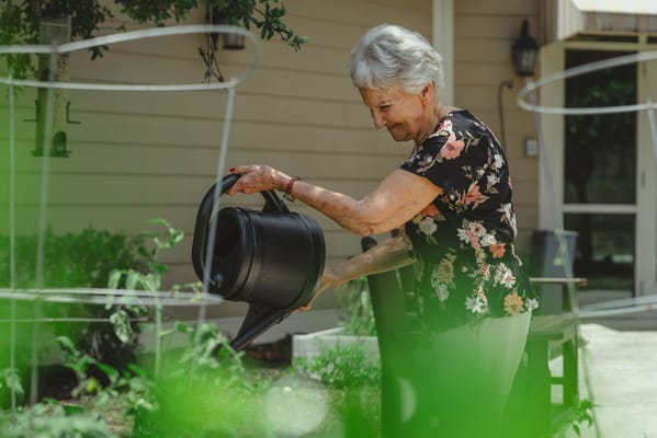 Senior watering plants in a garden area