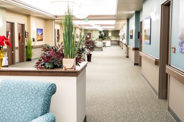 Interior hallway of the assisted living facility with plants and decor
