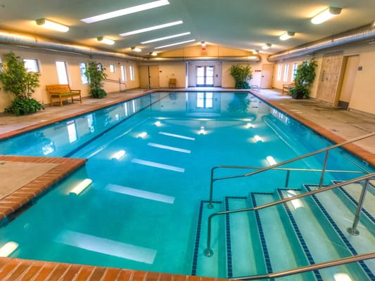 Indoor swimming pool with seating and plants