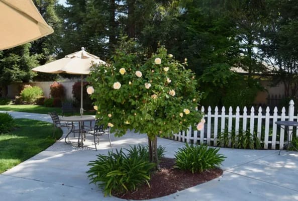 Outdoor garden area with seating and flowers