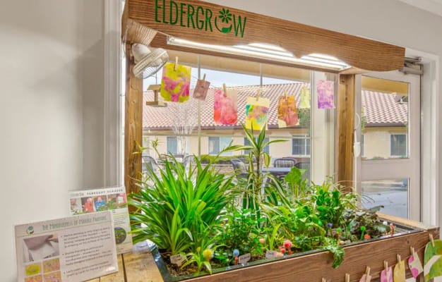 Indoor gardening area with plants and art displayed