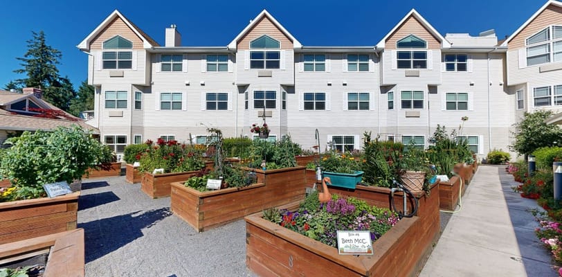 Outdoor garden area with raised planters and flowers