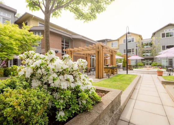 Outdoor garden area with flowers and seating