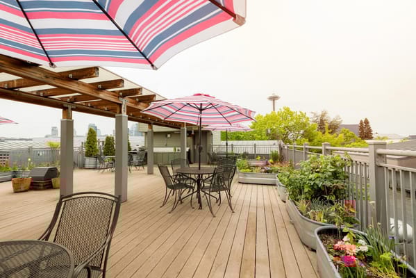 Outdoor patio area with umbrellas and seating