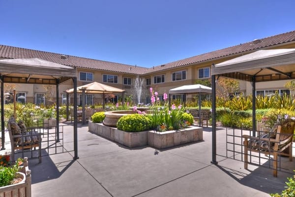 Beautiful outdoor courtyard with tables and flowering plants