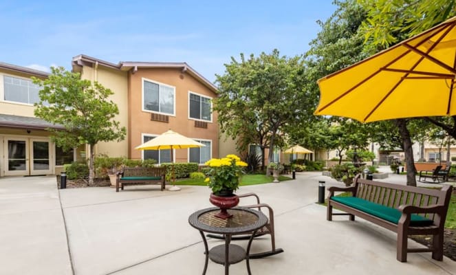 Outdoor seating area with yellow umbrellas and benches