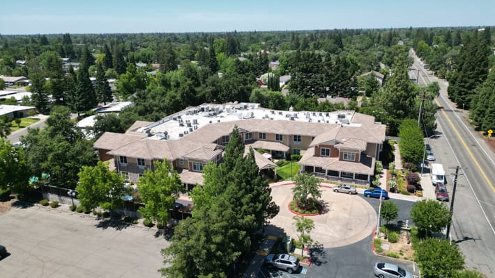 Aerial view of Sunrise of Carmichael surrounded by trees and greenery.