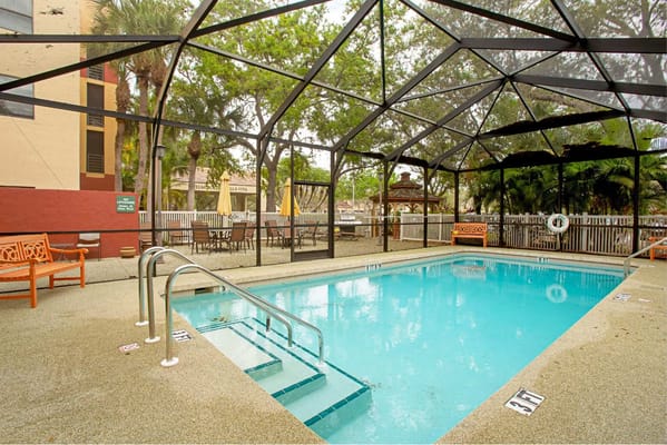 Indoor pool area with seating and palm trees
