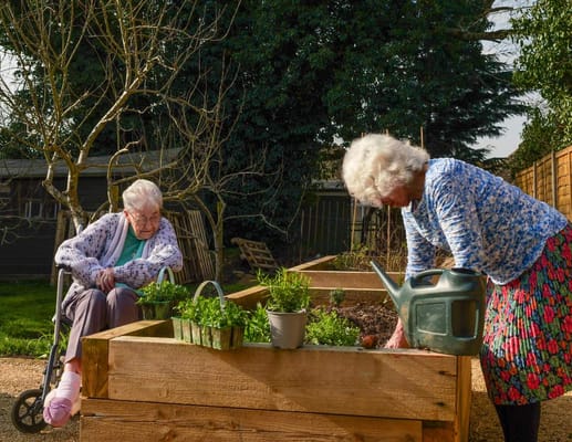 Two elderly residents gardening together in raised beds