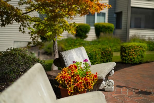 Benches and colorful flowers in a garden area