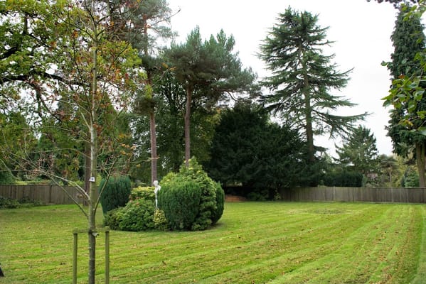 Well-maintained outdoor garden space at a senior living facility