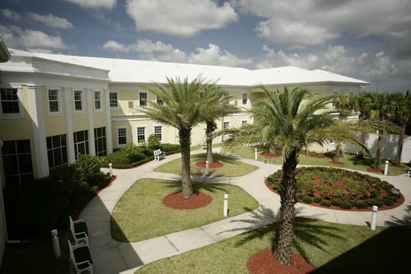 Outdoor courtyard with palm trees and pathways