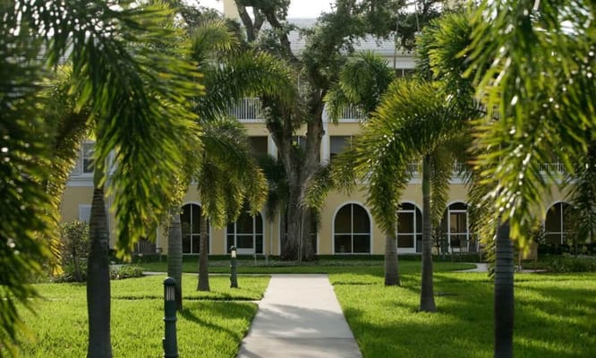 Pathway leading to a residential building surrounded by palm trees