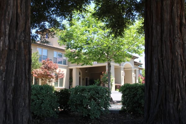 Entrance view framed by trees and shrubs