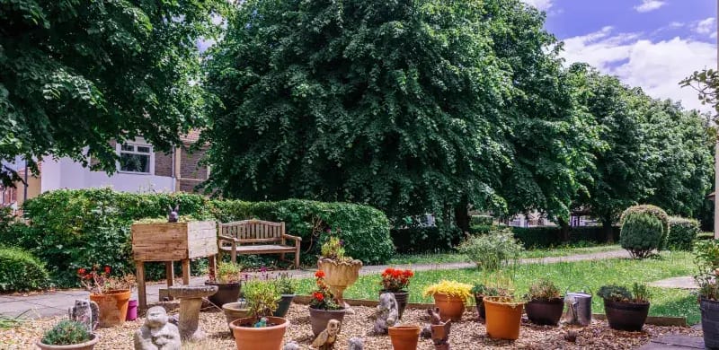 Garden area with flower pots and bench under trees