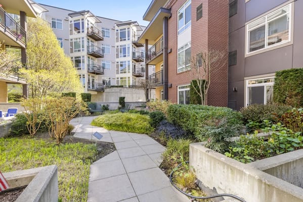 Garden area with pathways and buildings in the background