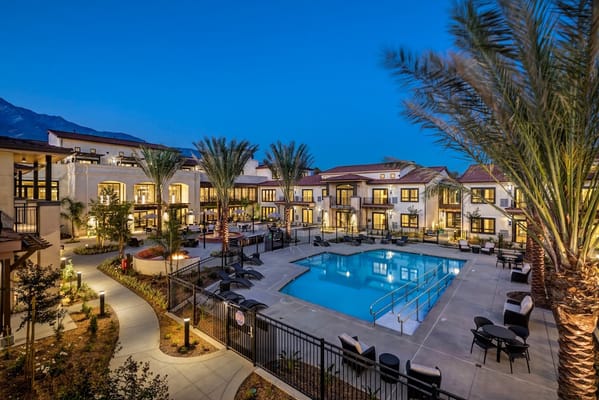 Outdoor pool area with palm trees and lounge chairs