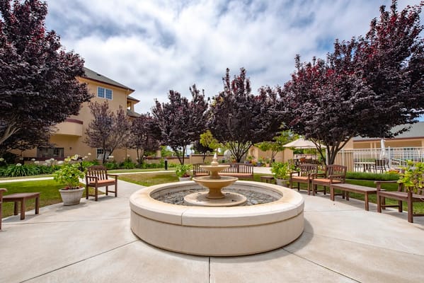 Outdoor garden area with a fountain and seating