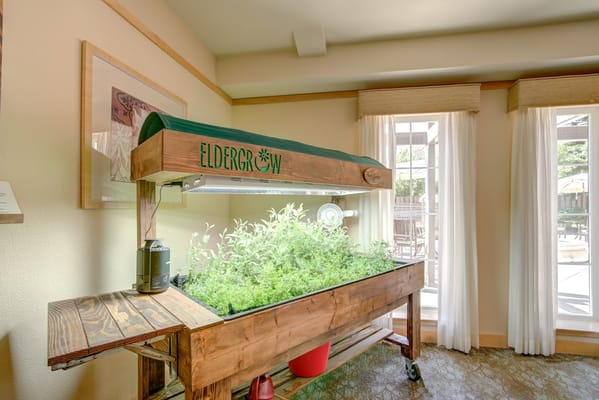 Indoor garden setup in a senior care facility