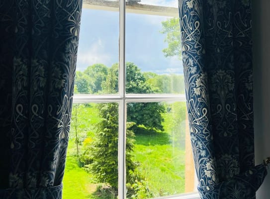 View from a window showing greenery and curtains