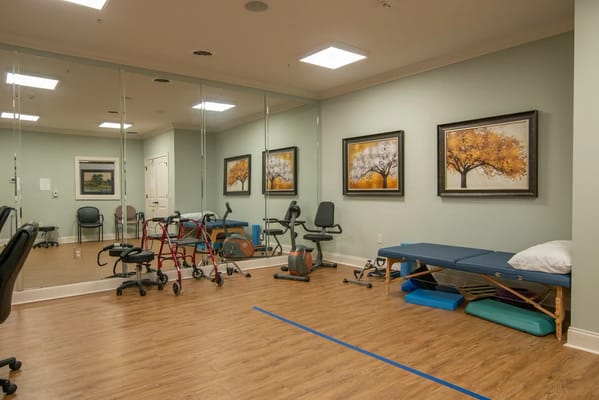 Rehabilitation room with exercise equipment and artwork