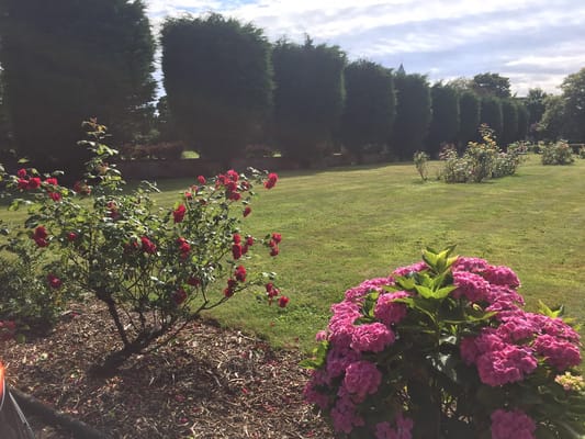 Beautiful garden with flowers and neatly trimmed hedges
