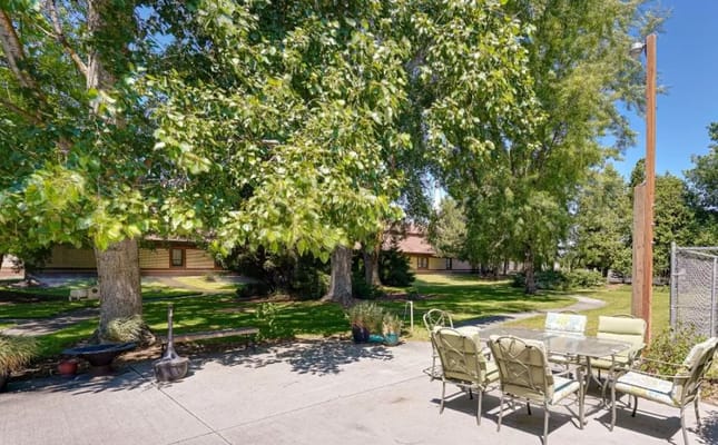 Outdoor seating area in a lush green space